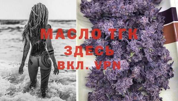 индика Бородино