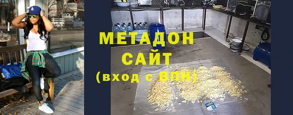индика Бородино