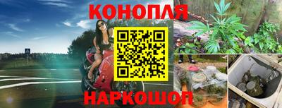 Альфа ПВП Бийск