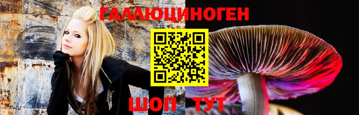 Галлюциногенные грибы GOLDEN TEACHER  Вход с VPN  Вятские Поляны  Псилоцибиновые грибы ЛСД 